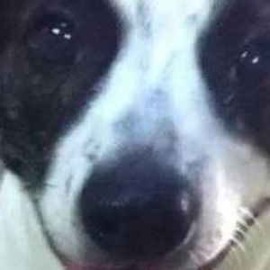 Meet your Posher, Christa